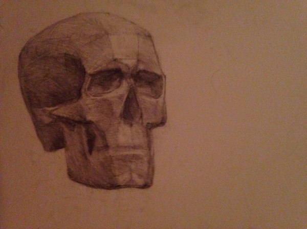 ����� ���� ������� ��������������