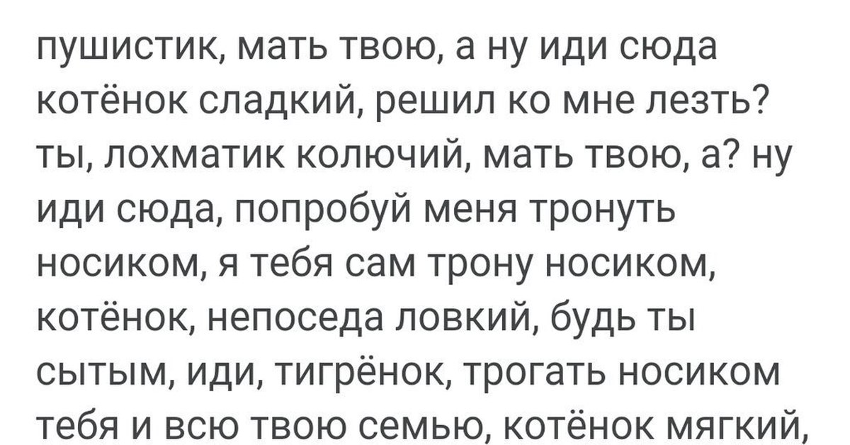 Ну иди. Иди сюда мать твою. Пушистик мать твою. Мать твою а ну иди. А ну иди сюда.