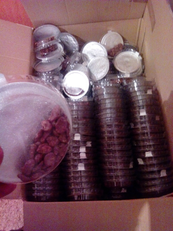 ����� ������ �����������.)������ ���� ���������� ������ �������� �������� ��,������� ������ � �������� ����,� ��� ���� ��������))