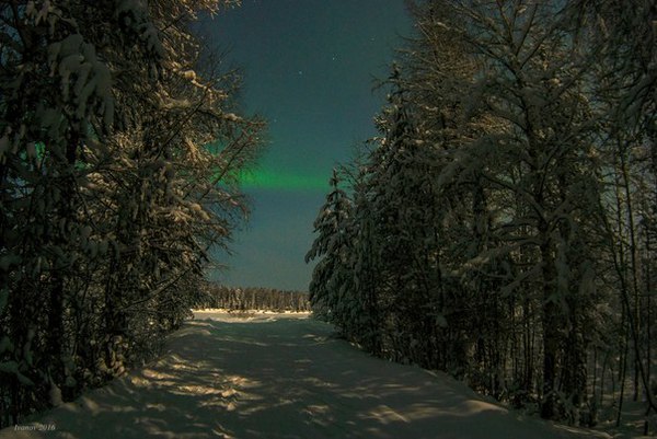 Приполярная ночь