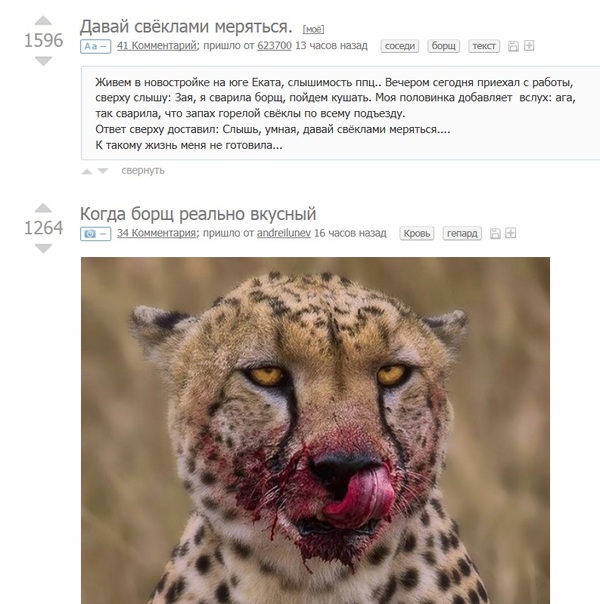 Кажется нижняя картинка, это продолжение первой истории.