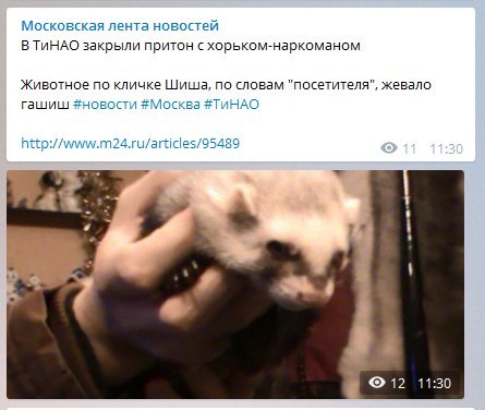 Понятие "посетителя" не раскрыто полностью