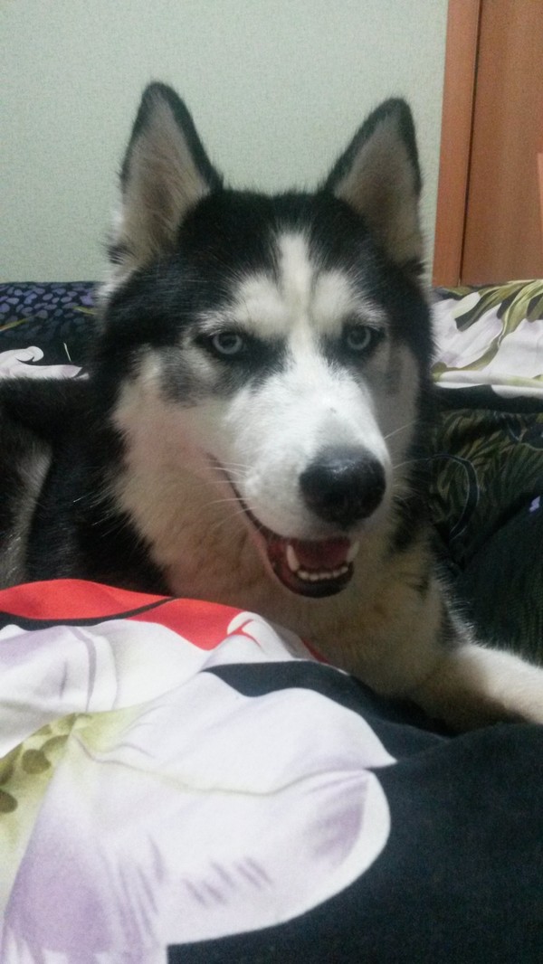 ������� �����