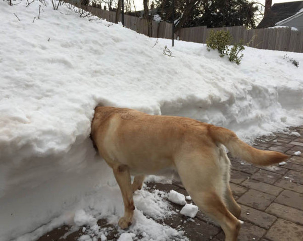 ��� ���-�� ���...