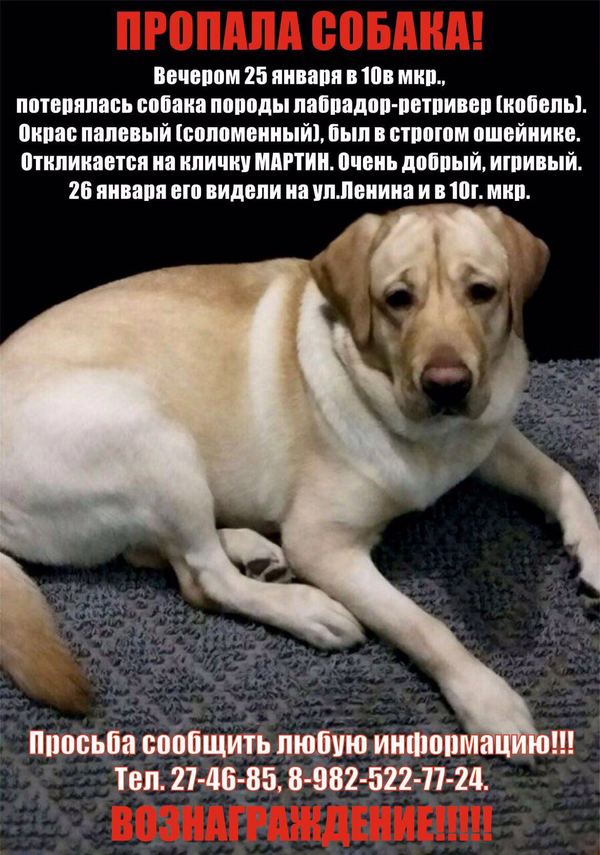 ���. �������������. ����, ��� �� ��� ����, �� ���� ��...