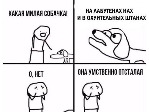  )