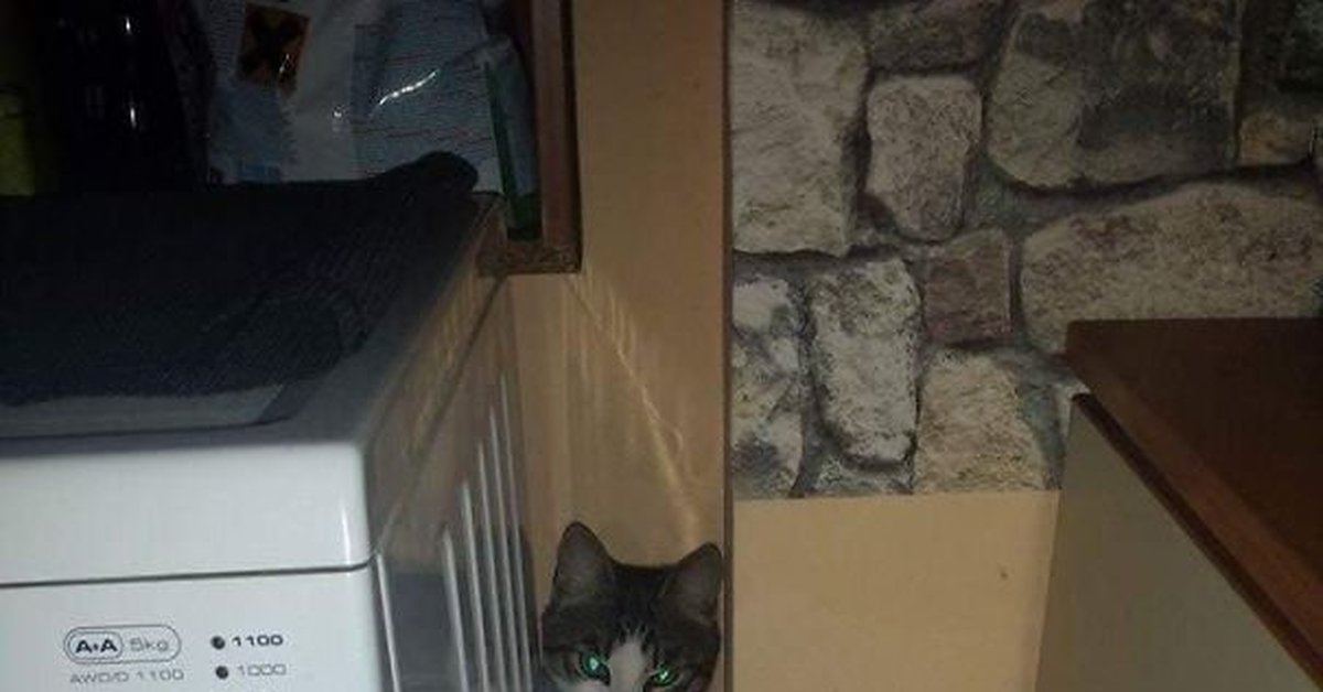 Ремонтник | Пикабу