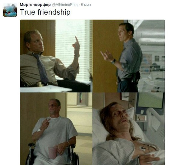 Истинная дружба: