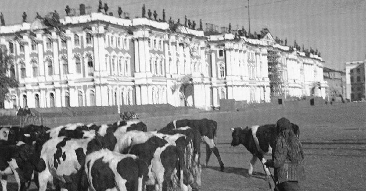 Исаакиевский собор в блокадном Ленинграде