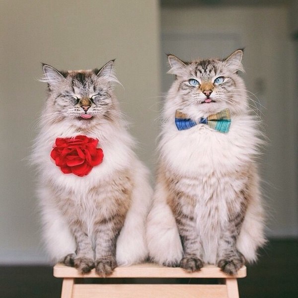 Очень колоритные персонажи.