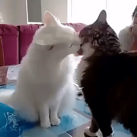 ... )