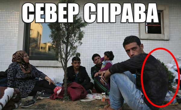 Да у него мох на спине растет!