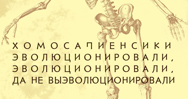 �������������� ����������������, ����������������, �� �� ������������������