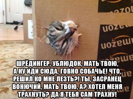 ���� ��� � ����� ���.