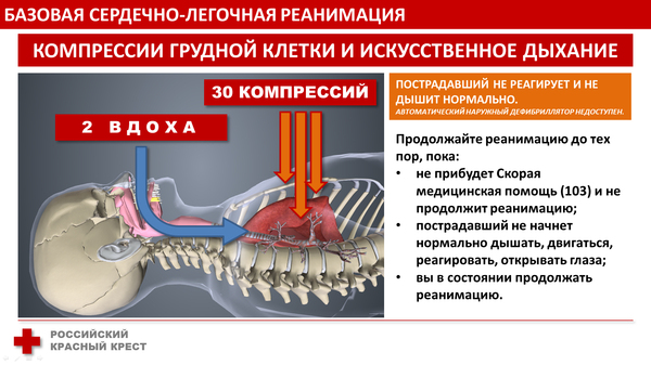 Красный крест реанимация