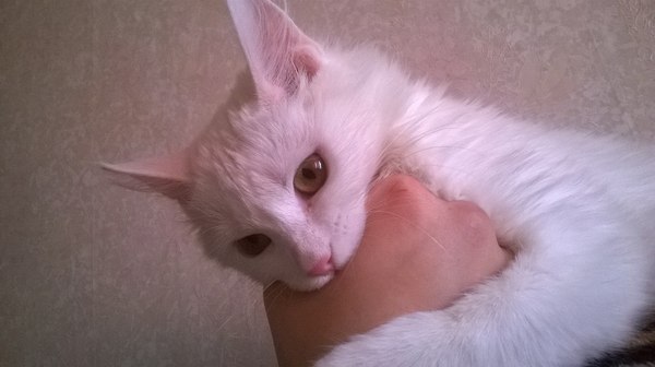 � ��� ������ ����?