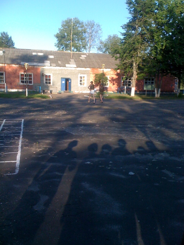 Туземные войска