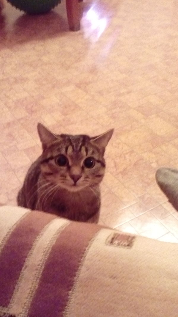 �������