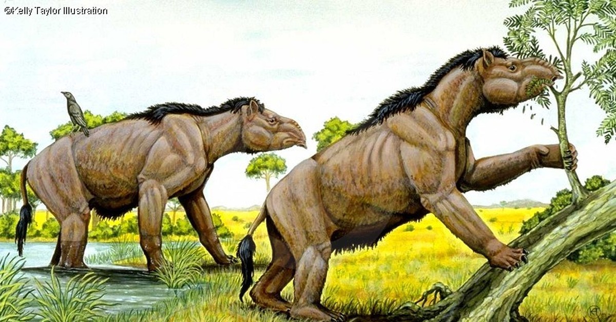 Название древнего животного. Homalodotherium cunninghami. Эпоха эоцена. Доисторические животные. Древние вымершие млекопитающие.