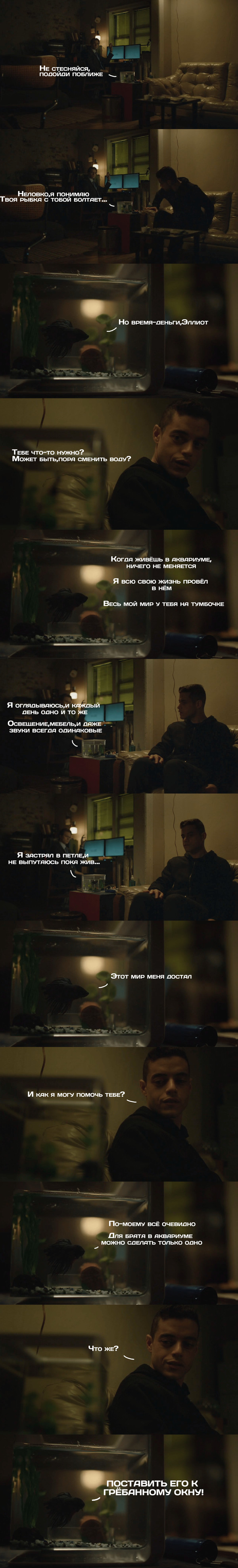 �� ������