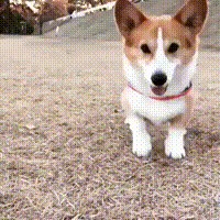   ,  !