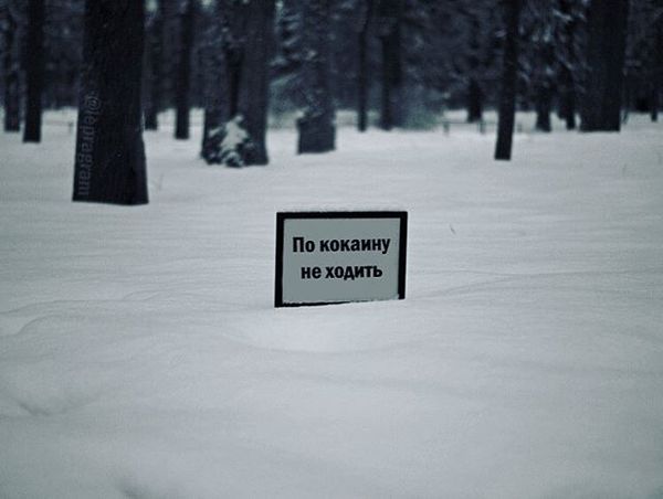 I wanted so much - Warning, Табличка, Snow, Cocaine