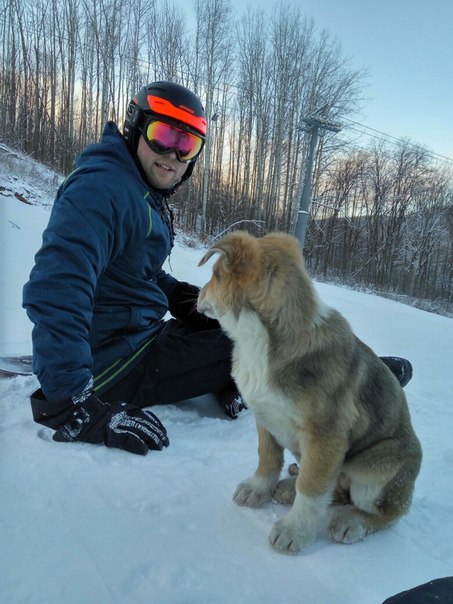 �������� (������)