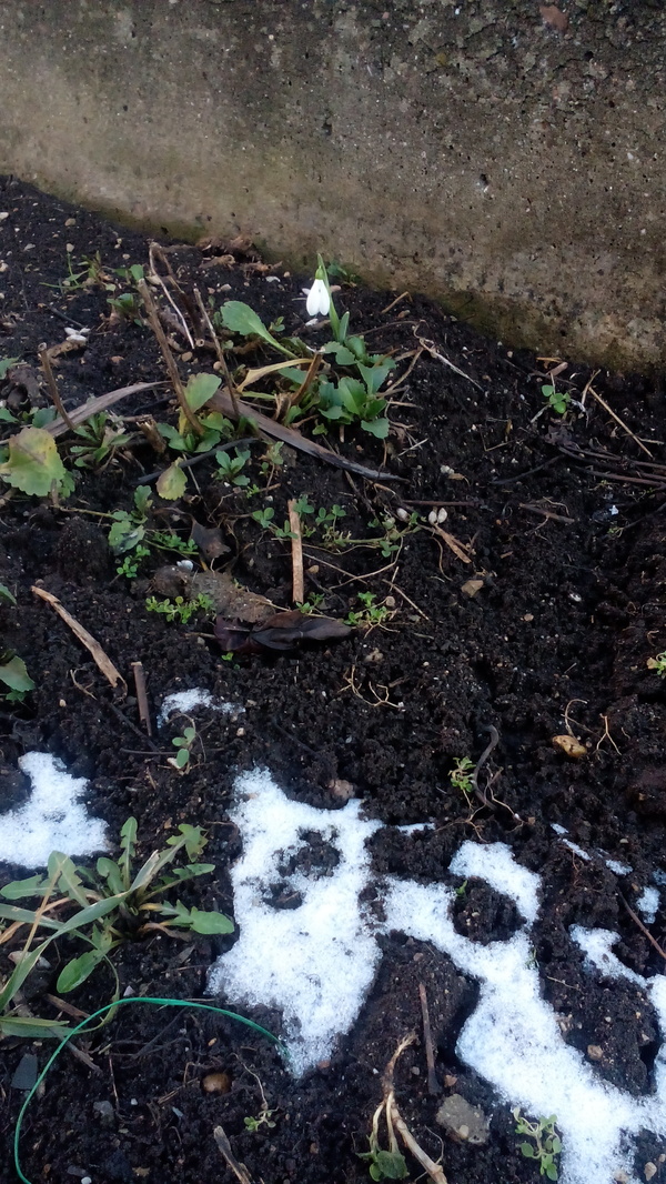 В Крым пришла весна :)