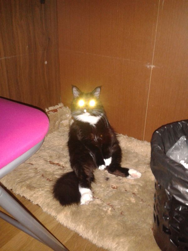 Вызывайте экзорциста!