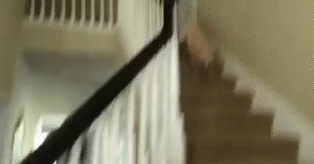 Funny Videos Of People Falling Down The Stairs