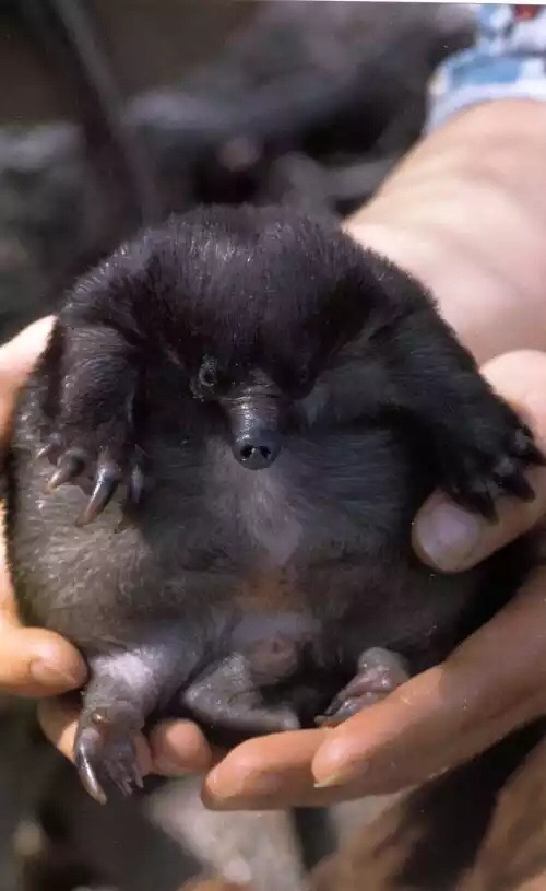 �������