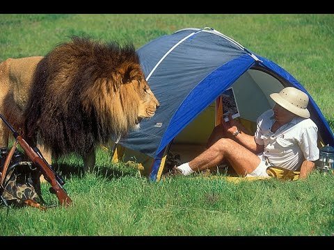 «Не такой смелый без ружья, да?»