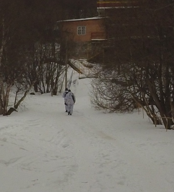 Отдых в горах Северной Осетии (ДЛИННОПОСТ). Длиннопост, Горы, Осетия, Таймази, Моё, Россия