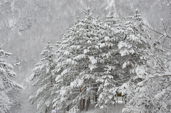 Отдых в горах Северной Осетии (ДЛИННОПОСТ). Длиннопост, Горы, Осетия, Таймази, Моё, Россия