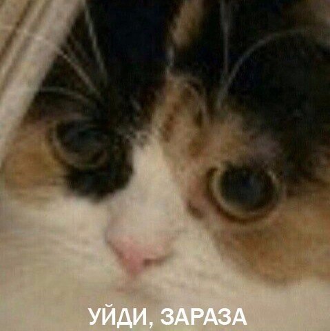 Когда рядом кашляют