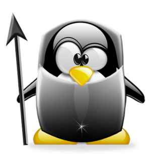 Installing Linux Mint - step by step guide. - My, Linux, , Longpost, My, Linux Mint