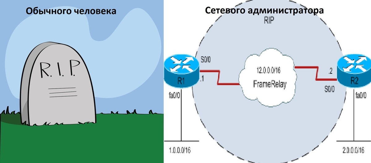 Опишите схему работы протокола rip