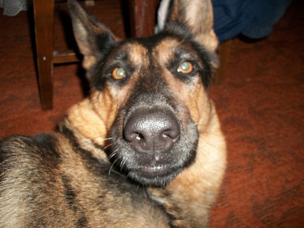 ��� �����?