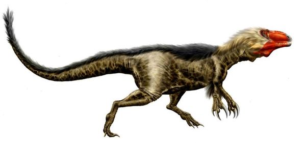  ,  , , Dryptosaurus, 