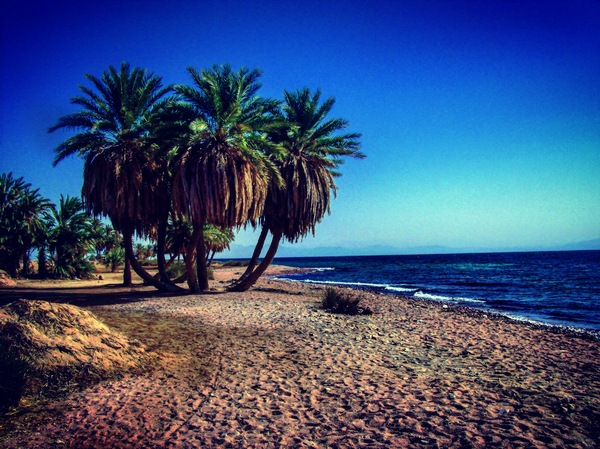 Египет, Дахаб