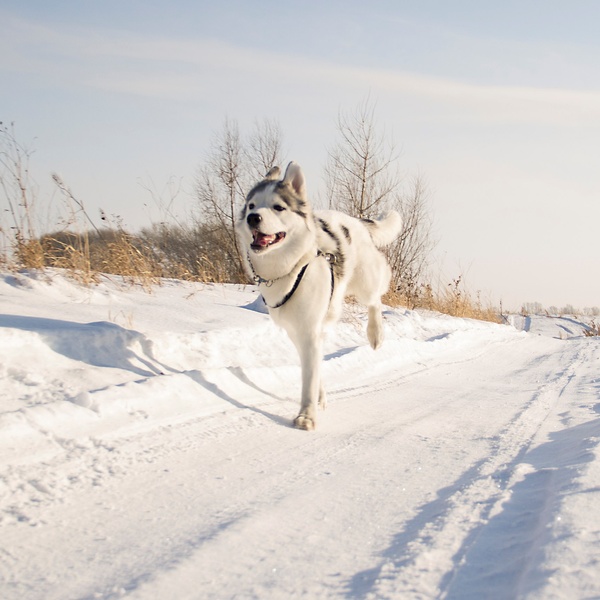 �������� ����� ����! ���� � ����� ������ ��� �������� �� �������� ������ �� �����!