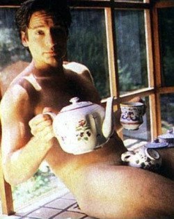 David BezDuchovny - NSFW, David Duchovny, Naked, Naked guy, Secret materials, Tea, Naked