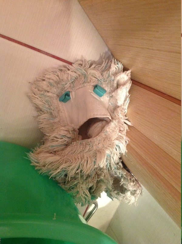 ����� ����� � ������ ���������� ��������������.