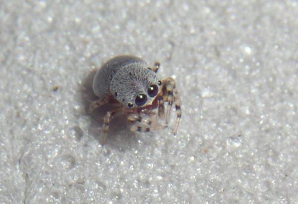 ��, �� ������� ����...