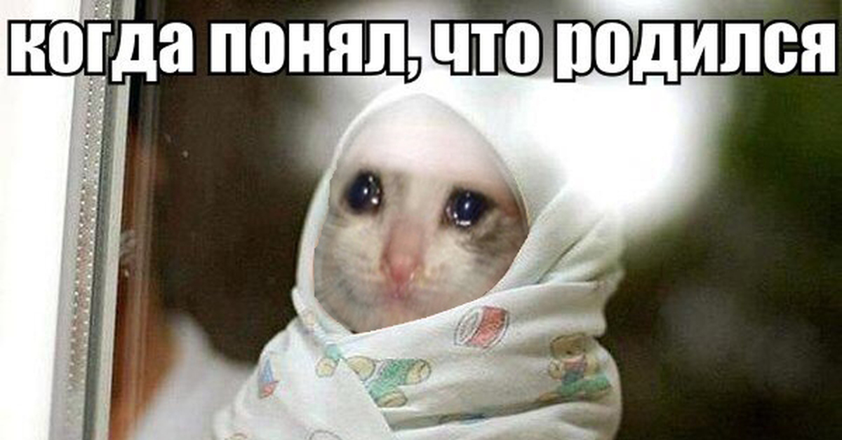 Песня а у тебя родится скоро крутая. Кот в одеяле плачет. Плачущий кот Мем. Я родился в России. Родился в России мемы.