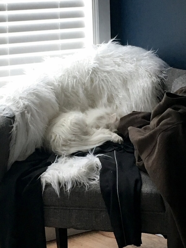 ������� � ������, � ��� ����, ��� ����� ���� ����������