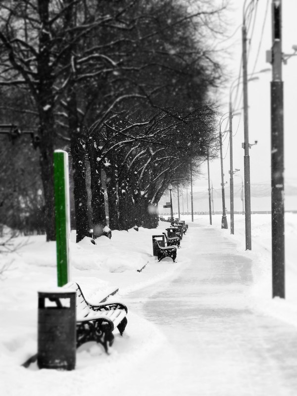 ���� ��������