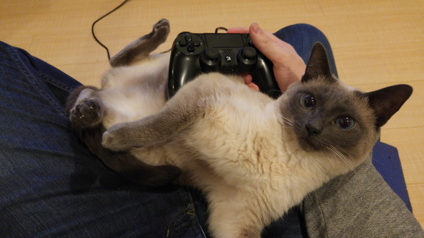 Когда хочется внимания