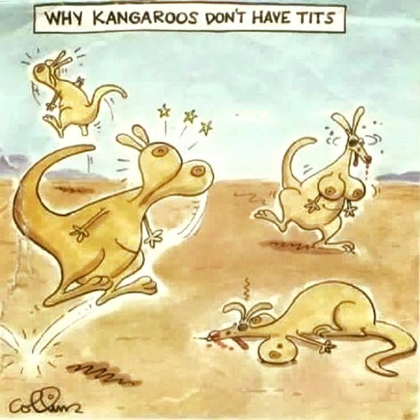 Kangaroo Mystery Revealed - NSFW, Тайны, Kangaroo