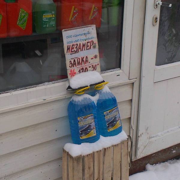 Зайка не замер